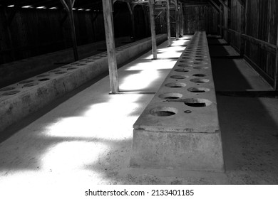 AUSCHWITZ BIRKENAU POLAND 09 17 17: Interior Of A Wretched Barrack Building Showing The Prisoners Bunk Beds. Here Were Exterminated 1.5 Million People During The Second World War In Nazi Third Reich