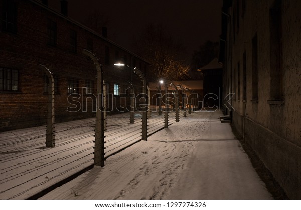 Auschwitz Birkenau Poland 27 January 2019 Stock Photo Edit Now