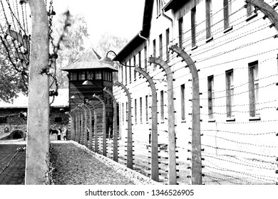 Auschwitz, Concentration Camp