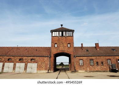 Auschwitz Concentration Camp 5