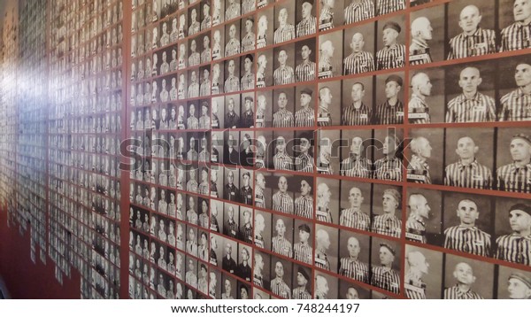 Auschwitz\
Concentration Camp Museum - Wall with pictures of the\
victims/prisoners. On the July 7th,\
2015.