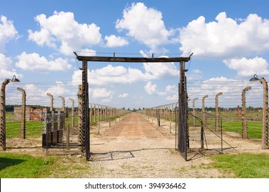 Auschwitz II - Birkenau, Jews Selected For Immediate Death In The Gas Chambers Of Crematoria IV And V Were Sent Off Along This Path