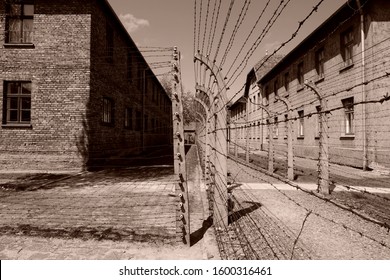 Auschwitz / Poland- 05.01.2017: Concrete Fence Pillar With Ceramic Electric Insulator And Old Places With Torn Barbed Wire Against The Background Of The Camp. Prisoner Of War Camp Auschwitz Birkenau.