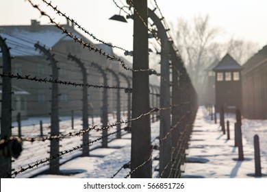 AUSCHWITZ, POLAND - JANUARY 28, 2017 ; Museum Auschwitz - Holocaust Memorial Museum. Anniversary Concentration Camp Liberation Barbed Wire Around A Concentration Camp. Shed Guard In The Background.