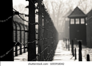 AUSCHWITZ, POLAND - JANUARY 28, 2018 ; Museum Auschwitz - Holocaust Memorial Museum. Anniversary Concentration Camp Liberation Barbed wire around a concentration camp. Shed guard in the background.