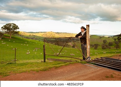 Aussie farmer looking out over a sheep paddock