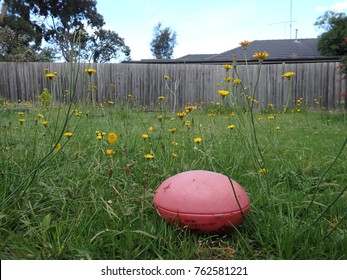 Aussie Rules Ball House Backyard 