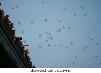 Austin, Texas - March 16, 2019: People Watching The Bats Fly Under The Congress Avenue Bridge 