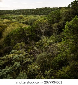 Austin, TX, USA 11-11-2021 Barton Creek Greenbelt