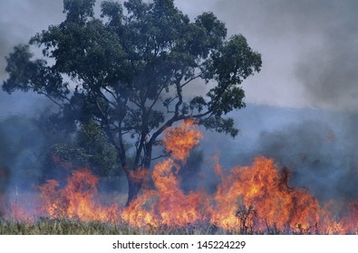 Australia Bush Fire