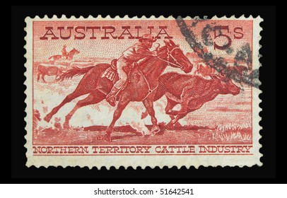 AUSTRALIA - CIRCA 1950s: A Stamp Printed In Australia Showing Northern Territory Cattle, Circa 1950s