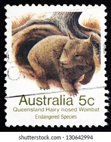 Hairy Nosed Wombat Images Stock Photos Vectors Shutterstock Images, Photos, Reviews