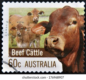 AUSTRALIA - CIRCA 2012: A stamp printed in Australia dedicated to Farming Australia shows Beef Cattle, circa 2012