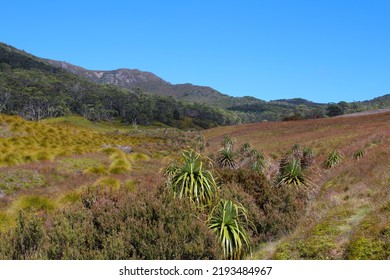 Australia, Cradle Mountain, Lake St Clair National Park Tasmania