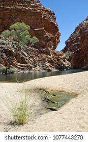 Australia, Ellery Creek Big Hole, West Mac Donnell National Park