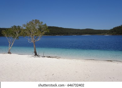 Australia Fraser Island Lake MacKenzie