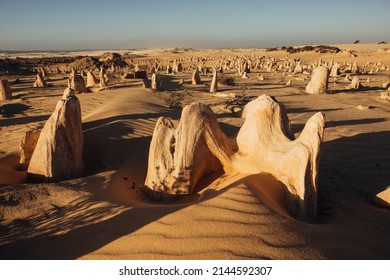 Australia Nambung National Park - Pinnacles Desert