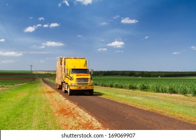 AUSTRALIA - NOVEMBER 28: Huge yellow lorry driving along sugar cane fields carry hay in Australia on November 28, 2013.