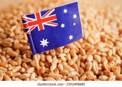 Australia On Grain Wheat, Trade Export And Economy Concept.