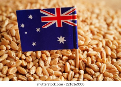 6,953 Wheat Trade Images, Stock Photos & Vectors | Shutterstock