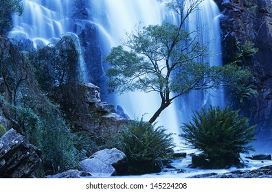 Australia Waterfall In Forest