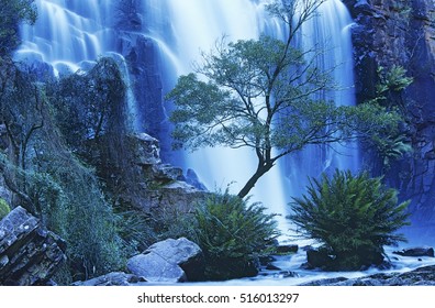 Australia Waterfall In Forest