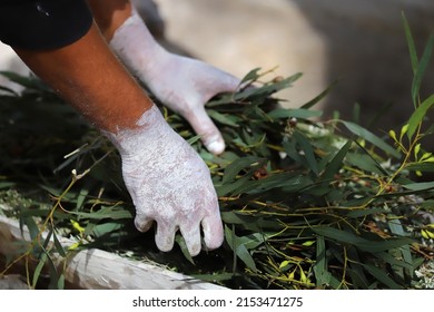 Australian Aboriginal Ceremony, man's hand with green branches, preparation for start a fire for a ritual rite at a community even in Adelaide, South Australia