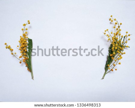 Similar – Image, Stock Photo Palm leaves and tropical flowers frame on white