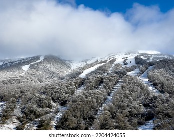 The Australian Alps In Winter