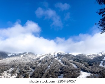 The Australian Alps In Winter