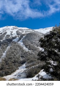 The Australian Alps In Winter