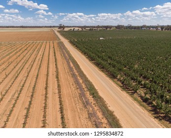 A Australian Apple Farm 