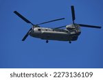australian army chinook helicopter in flight