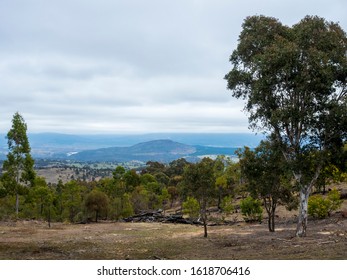 Australian Bush Clearing, Featuring Distant Rolling Hills, Rugged Landscape And Patchy Woodlands. This Area Was Recently Destroyed By A Firestorm But Ecological Remission Is Evident. Dramatic Sky.