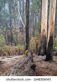 Australian Bush Fires With Fire Fighters