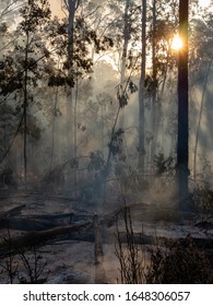 Australian Bush Fires With Fire Fighters