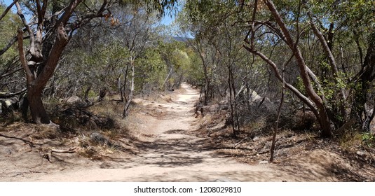 Australian Bush Track