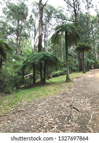 Australian Bush Track