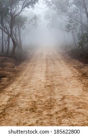 Australian Bush Track Covered In Mist