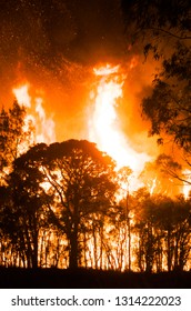  Australian Bushfires 2018 NSW