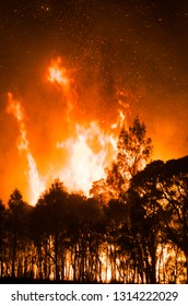  Australian Bushfires 2018 NSW