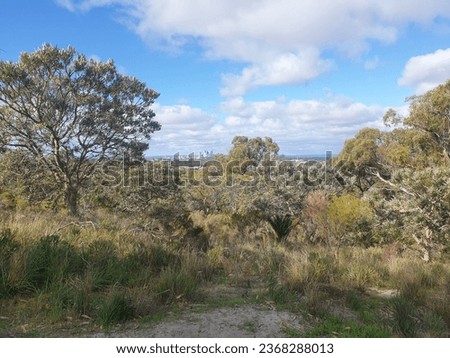 Australian bushland with blue sky