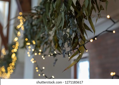 Australian Christmas Decorations Of Gum Tree Leaves And Ferry Lights