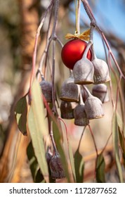 An Australian Christmas, Gum Tree And Gum Nuts With A Red Christmas Bauble, Vertical