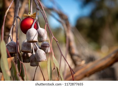 An Australian Christmas, Gum Tree And Gum Nuts With A Red Christmas Bauble, Horizontal