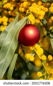 An Australian Christmas With A Red Christmas Bauble In A Golden Wattle, Vertical Format	