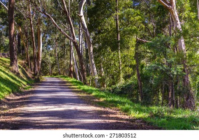 Australian Country Rail Trail In Autumn