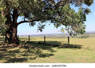 Australian Countryside In South Gippsland Victoria