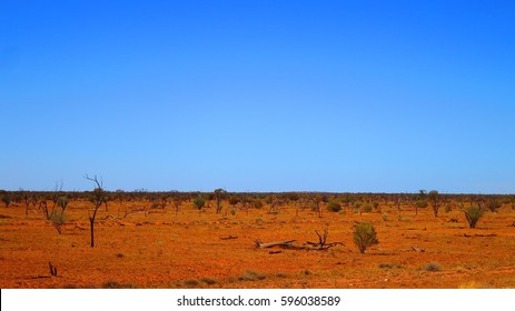 Australian Desert 