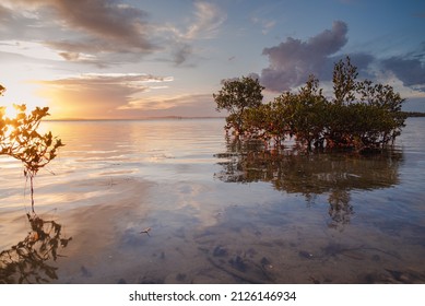 Australian East Coast Landscape Photography